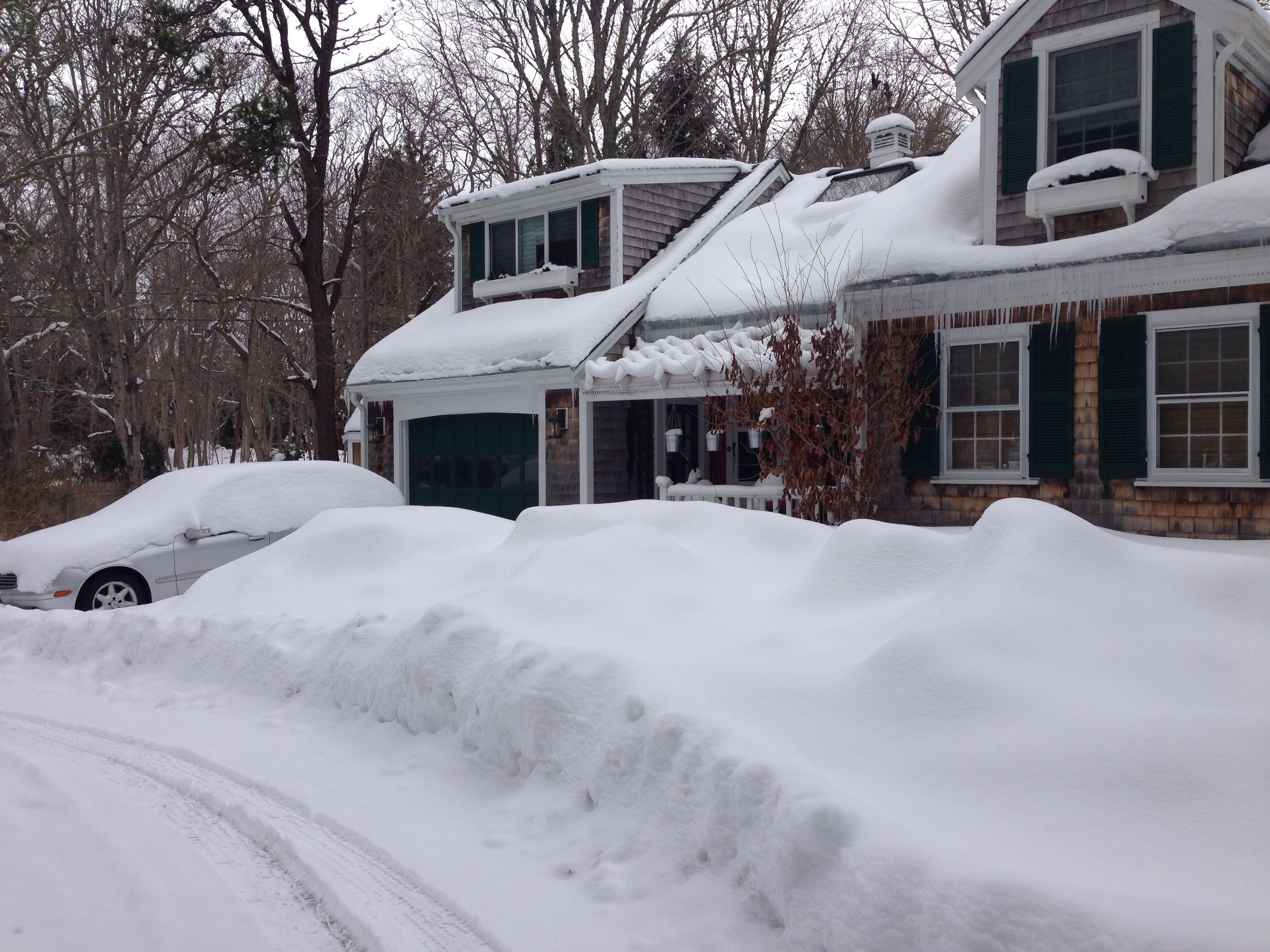 Argh! More Snow!